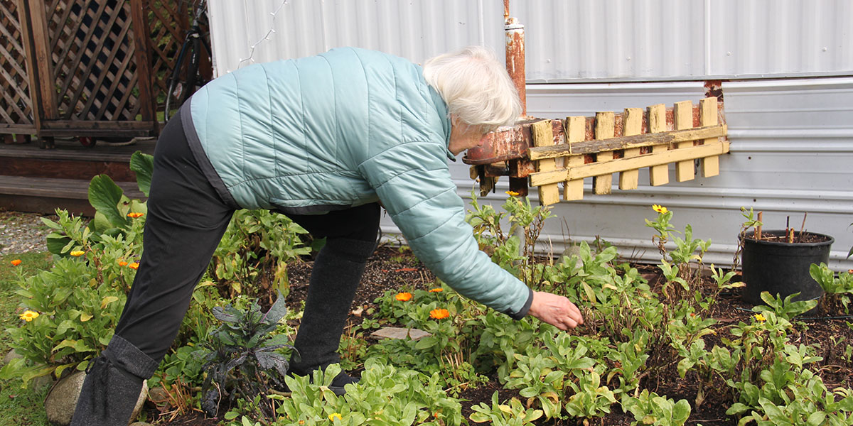 Ind Living main photo Older woman gardening