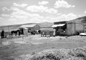 A moshav in Israel June 1939